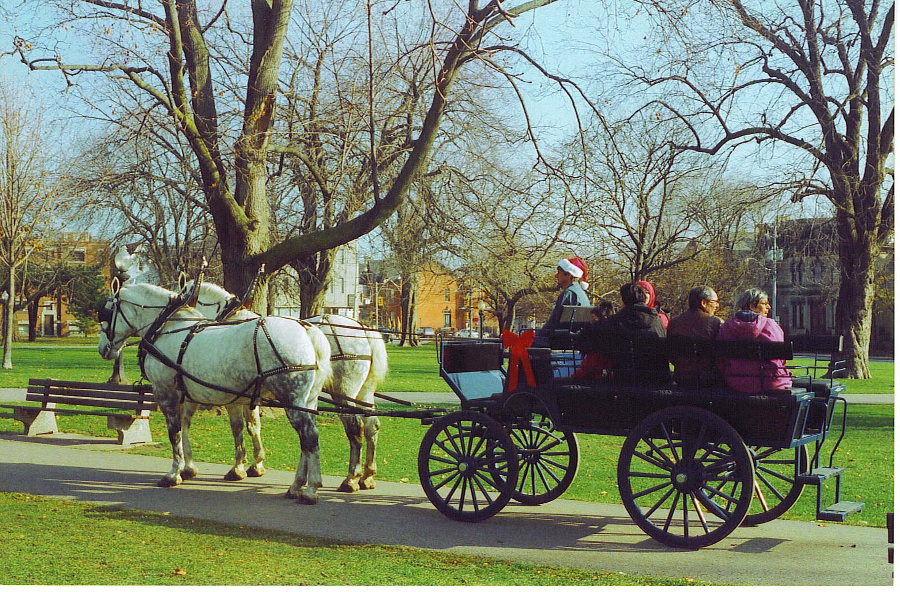 Wagon Ride In Allen Gardens
